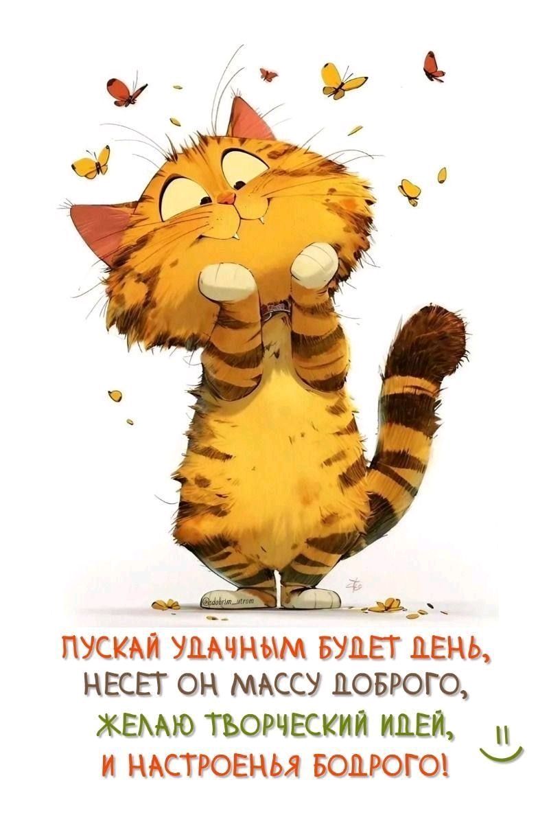 Открытка «С добрым утром»: С добрым утром! Пусть день принесёт добро и идеи!. Тэги: кот, животное, пожелание, позитив…