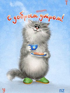 Открытка «С добрым утром»: Пушистый привет: с добрым утром!. Тэги: кот, животное, пожелание, позитивная, отличное нас…