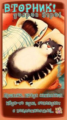 Открытка «С добрым утром»: Вторник: Уютное доброе утро с котом. Тэги: кот, животное, пожелание, позитивная, хорошего…