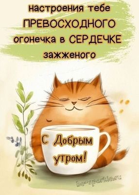 Открытка «С добрым утром»: Доброе утро с пушистым другом и отличным настроением. Тэги: кот, животное, пожелание…