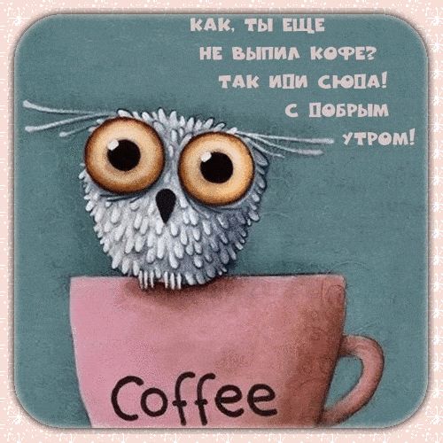 Открытка «С добрым утром»: С добрым утром! Сова зовёт на кофе!. Тэги: животное, пожелание, позитивная, отличное настр…