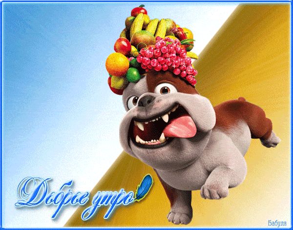Открытка «С добрым утром»: Веселое утро с фруктовым бульдогом!. Тэги: животное, пожелание, позитивная, юмор, прикольн…