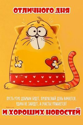 Открытка «С добрым утром»: Доброе утро от милого кота: отличного дня и новостей!. Тэги: кот, животное, пожелание…