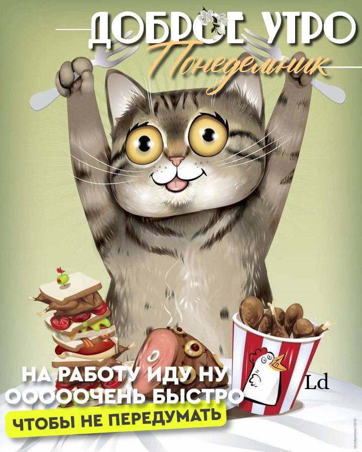 Открытка «С добрым утром»: Доброе утро, понедельник! Кот спешит на работу. Тэги: кот, животное, пожелание, позитивная…