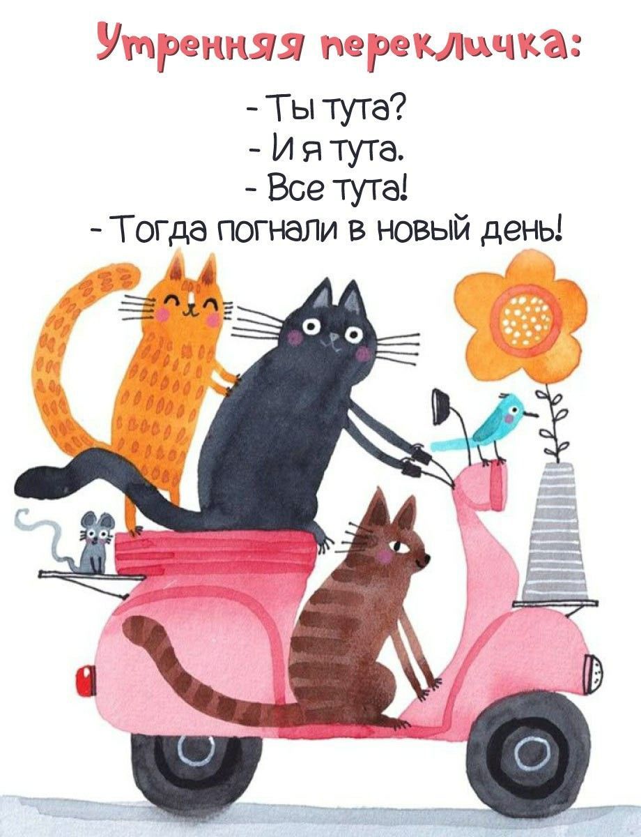 Открытка «С добрым утром»: Утренняя перекличка: Все на скутер, в новый день!. Тэги: кот, животное, пожелание, позитив…