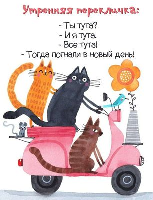 Открытка «С добрым утром»: Утренняя перекличка: Все на скутер, в новый день!. Тэги: кот, животное, пожелание, позитив…
