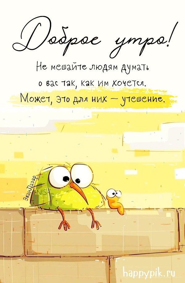 Открытка «С добрым утром»: Доброе утро: мудрые мысли и милые герои. Тэги: животное, пожелание, позитивная, хорошего д…