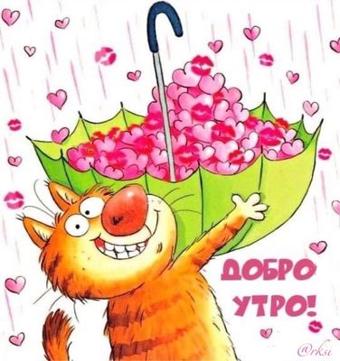 Открытка «С добрым утром»: Доброе утро от рыжего кота и сердечек!. Тэги: кот, животное, пожелание, позитивная, хороше…