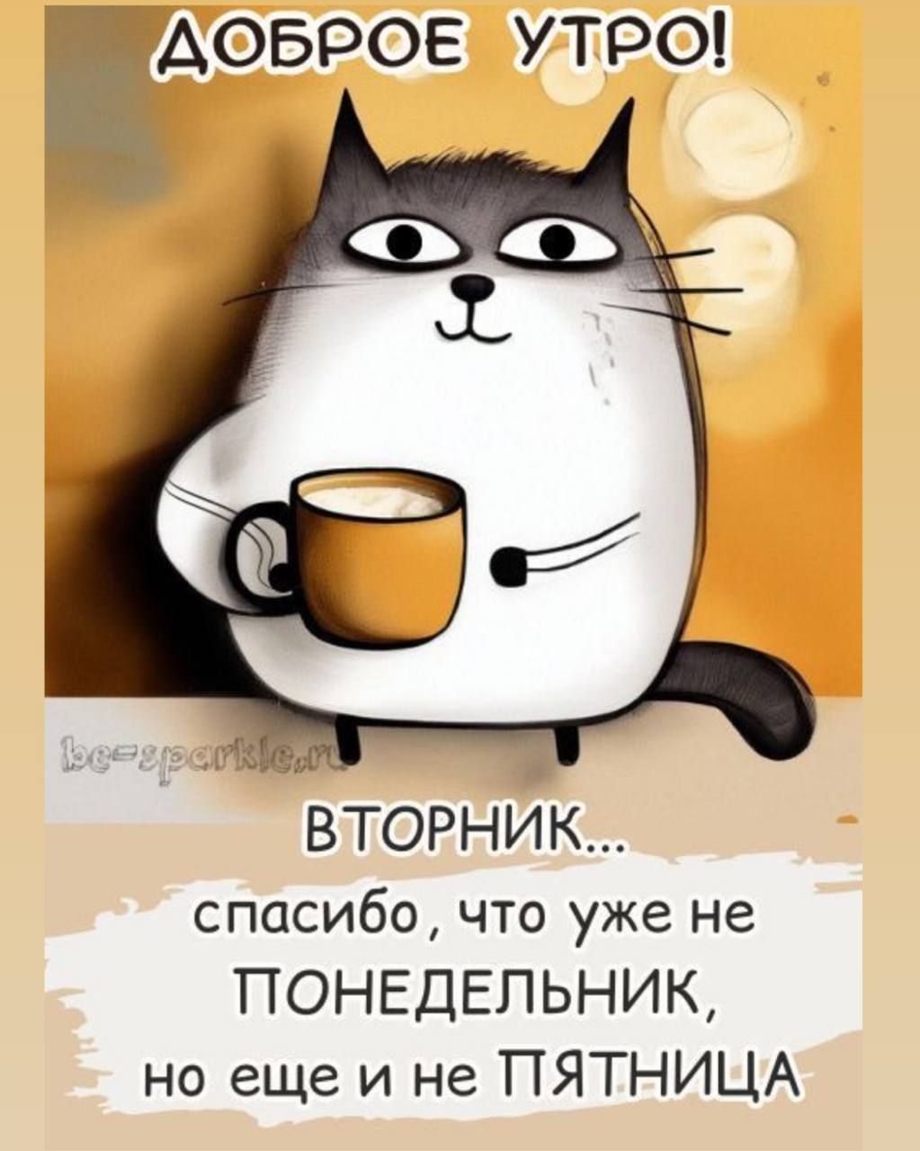Открытка «С добрым утром»: Доброе утро вторника: уже не понедельник!. Тэги: кот, животное, пожелание, позитивная…