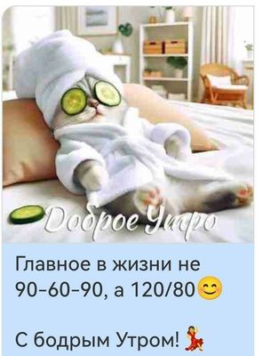 Открытка «С добрым утром»: Спа-котик желает доброго утра и крепкого здоровья!. Тэги: кот, животное, пожелание, позити…