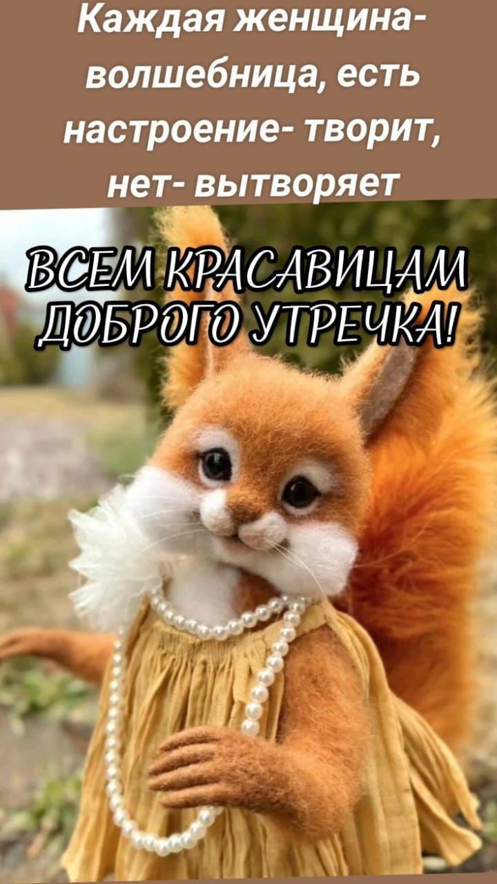 Открытка «С добрым утром»: Доброе утро, волшебница! Милая белка в жемчугах. Тэги: животное, пожелание, позитивная…