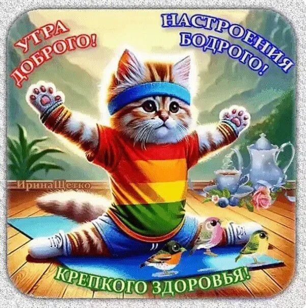 Открытка «С добрым утром»: Доброе утро! Кот желает бодрости и здоровья. Тэги: кот, пожелание, отличное настроение…
