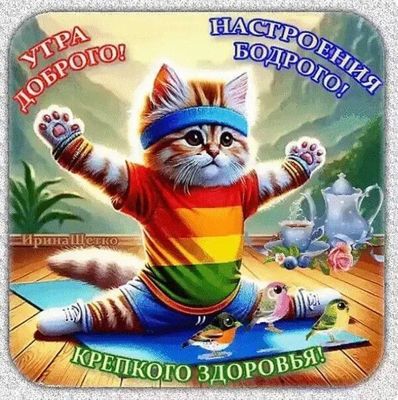 Открытка «С добрым утром»: Доброе утро! Кот желает бодрости и здоровья. Тэги: кот, пожелание, отличное настроение…
