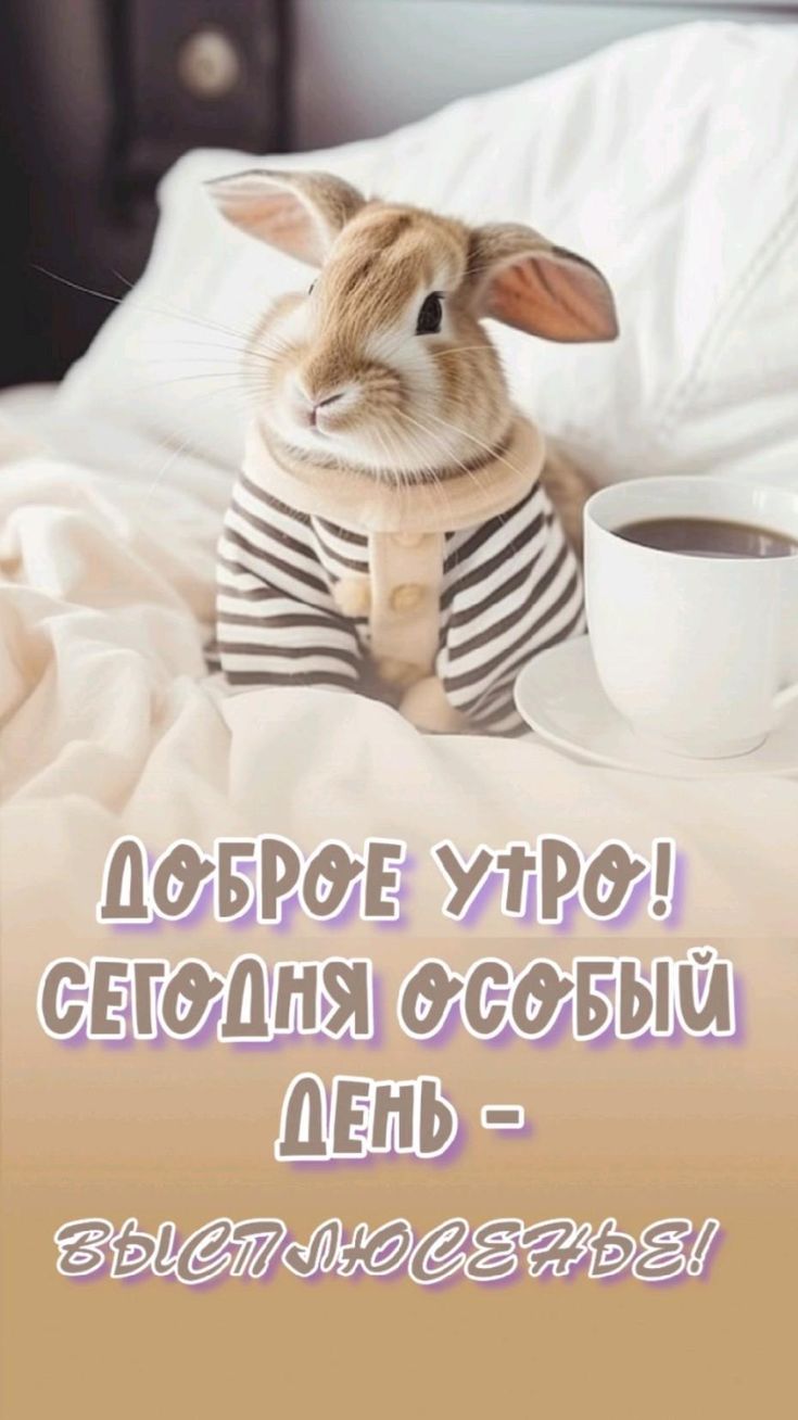 Открытка «С добрым утром»: С добрым утром! Пусть сегодня будет день выспаться!. Тэги: животное, пожелание, позитивная…