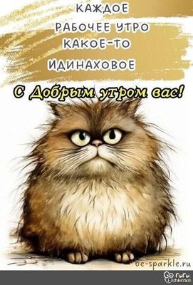 Открытка «С добрым утром»: Когда каждое утро одинаковое: с Добрым Утром!. Тэги: кот, животное, пожелание, позитивная…