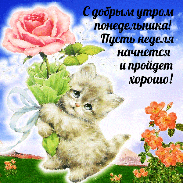 Открытка «С добрым утром»: Нежный котенок и роза: доброе утро понедельника!. Тэги: кот, животное, пожелание, позитивн…