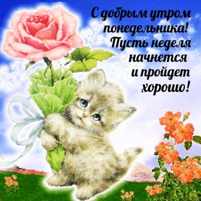 Открытка «С добрым утром»: Нежный котенок и роза: доброе утро понедельника!. Тэги: кот, животное, пожелание, позитивн…