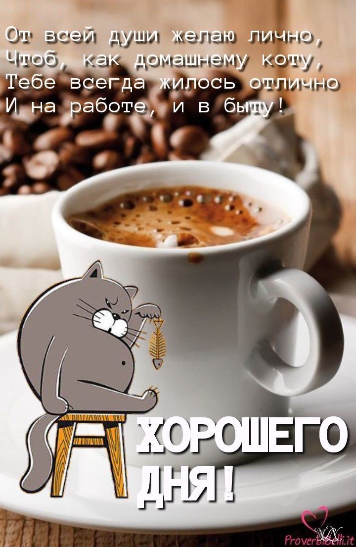 Открытка «С добрым утром»: С добрым утром и отличного дня, как домашнему коту!. Тэги: кот, животное, пожелание…