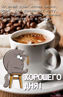 Открытка «С добрым утром»: С добрым утром и отличного дня, как домашнему коту!. Тэги: кот, животное, пожелание…