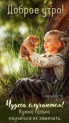 Открытка «С добрым утром»: Доброе утро: Чудо рядом, просто заметь его!. Тэги: животное, пожелание, позитивная, отличн…