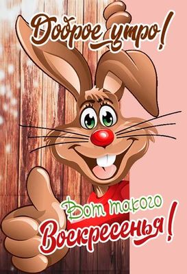 Открытка «С добрым утром»: Зайка желает доброго утра и прекрасного воскресенья!. Тэги: животное, пожелание, позитивная…