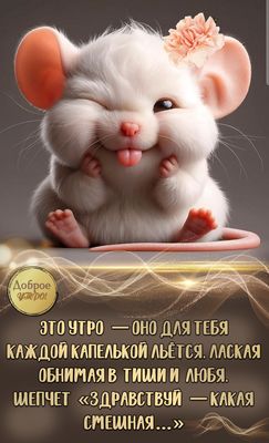 Открытка «С добрым утром»: Нежное доброе утро от смешной мышки с цветком. Тэги: животное, пожелание, позитивная…