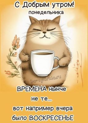 Открытка «С добрым утром»: С добрым утром понедельника! Кот и вчерашнее воскресенье. Тэги: кот, животное, пожелание…