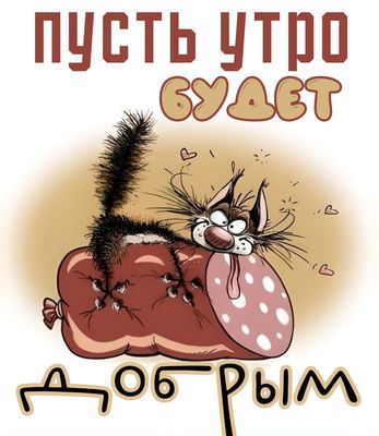 Открытка «С добрым утром»: Кот и колбаска: пусть утро будет добрым!. Тэги: кот, животное, пожелание, позитивная…