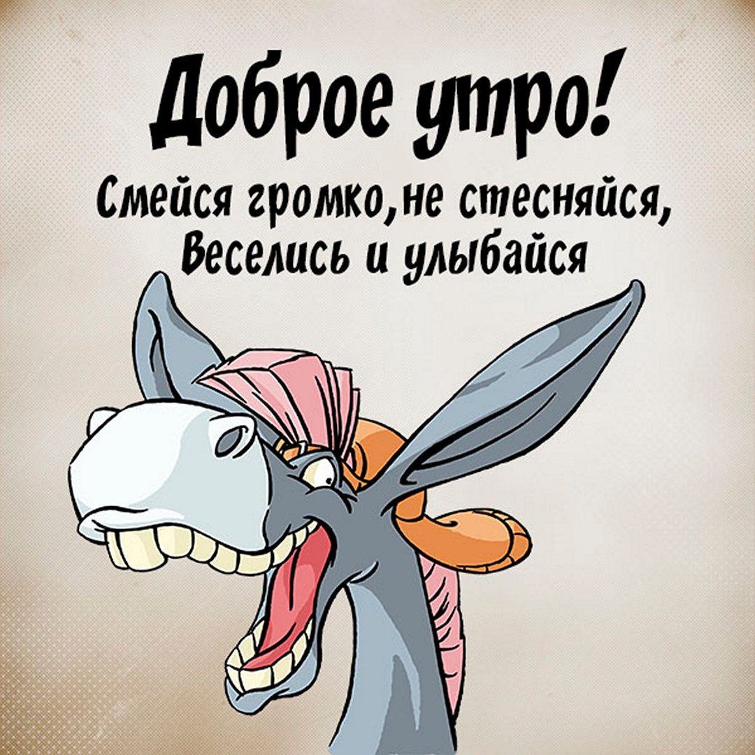 Открытка «С добрым утром»: Доброе утро: смейся, веселись, улыбайся!. Тэги: животное, пожелание, позитивная, отличное…