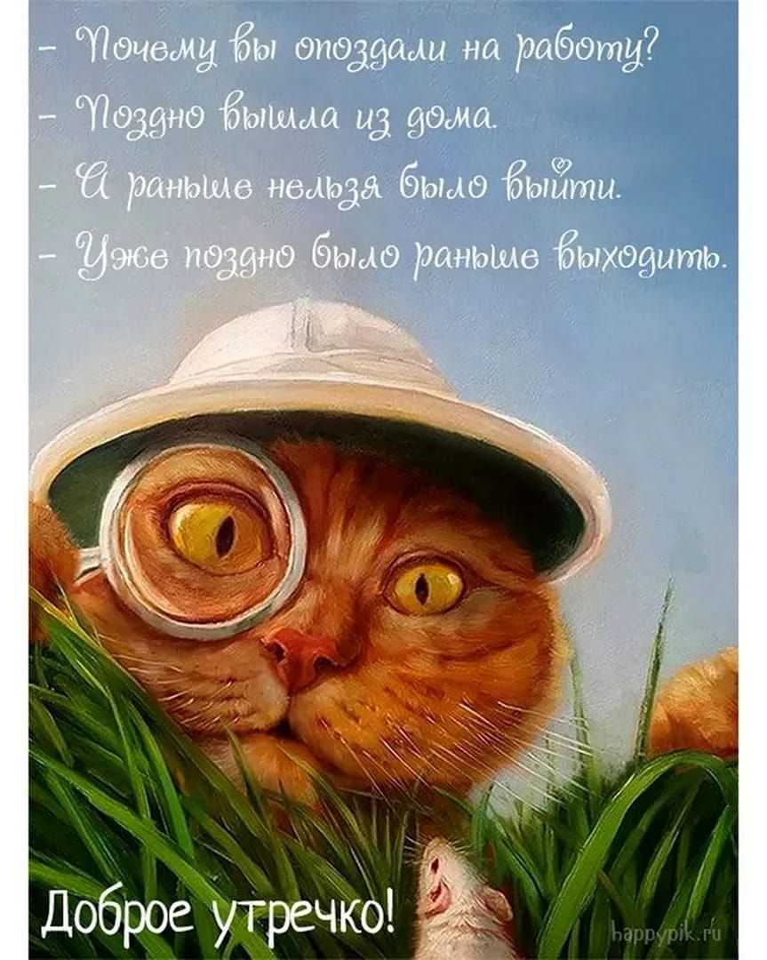 Открытка «С добрым утром»: Доброе утречко! Кот-сыщик и смешная отговорка. Тэги: кот, животное, пожелание, позитивная…