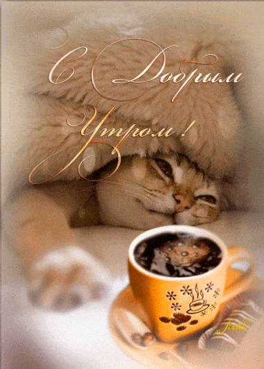 Открытка «С добрым утром»: С добрым утром: Пушистый кот и ароматный кофе. Тэги: кот, животное, пожелание, позитивная…