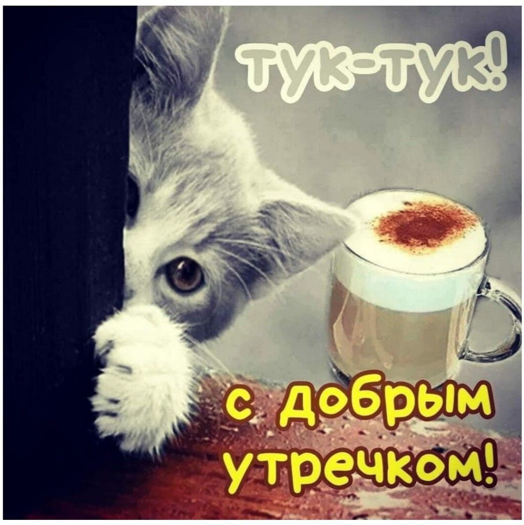 Открытка «С добрым утром»: Тук-тук! Милый котик с чашкой кофе желает доброго утра. Тэги: кот, животное, пожелание…