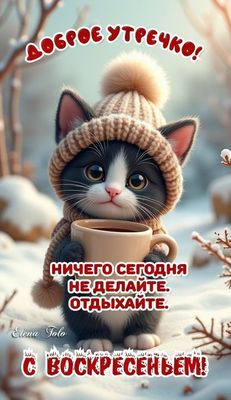 Открытка «С добрым утром»: Доброе утречко! Отдыхайте в это воскресенье. Тэги: кот, пожелание, позитивная, шапка, шарф…