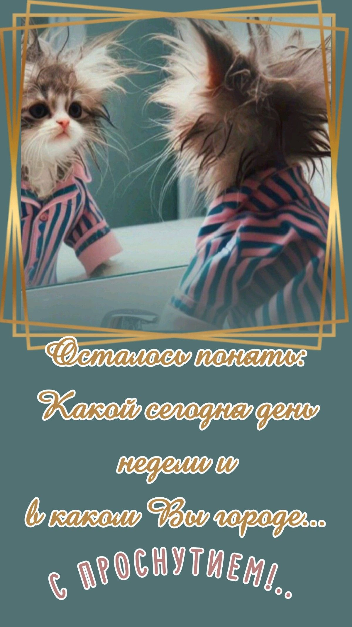 Открытка «С добрым утром»: С добрым утром: Забавный котик и утренние вопросы. Тэги: хорошего дня, кот, пожелание…