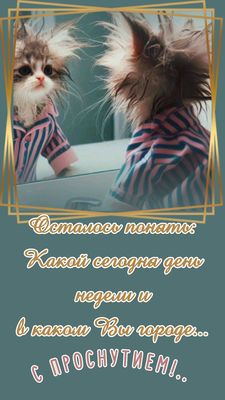 Открытка «С добрым утром»: С добрым утром: Забавный котик и утренние вопросы. Тэги: хорошего дня, кот, пожелание…