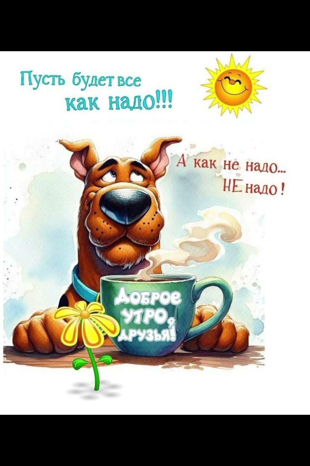 Открытка «С добрым утром»: Пусть все будет как надо! Доброе утро, друзья!. Тэги: хорошего дня, пожелание, позитивная…