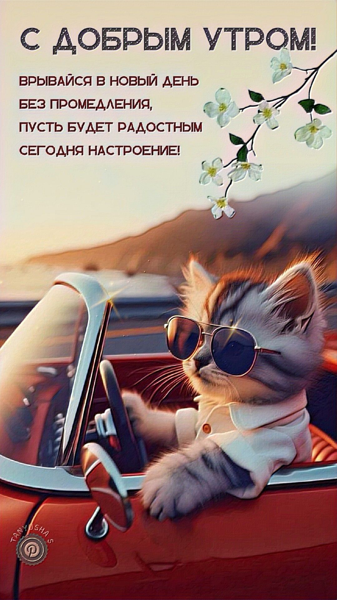 Открытка «С добрым утром»: Кот-путешественник: С добрым утром и отличным днем!. Тэги: хорошего дня, кот, животное…