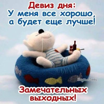 Открытка «С добрым утром»: С добрым утром! Девиз дня: все хорошо и будет лучше!. Тэги: хорошего дня, кот, животное…