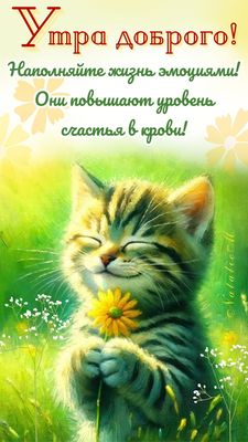 Открытка «С добрым утром»: Утра доброго! Улыбчивый котёнок для счастья. Тэги: хорошего дня, кот, животное, пожелание…