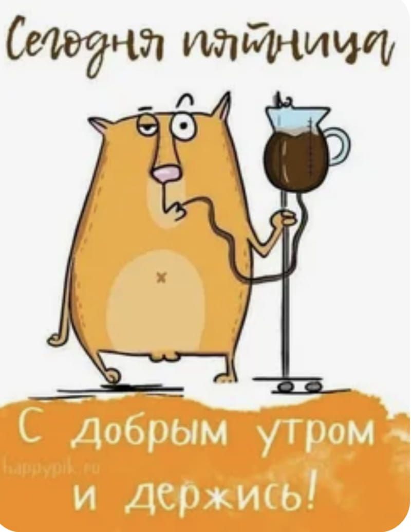 Открытка «С добрым утром»: С добрым утром, пятница! Кофе для выживания. Тэги: хорошего дня, кот, животное, пожелание…