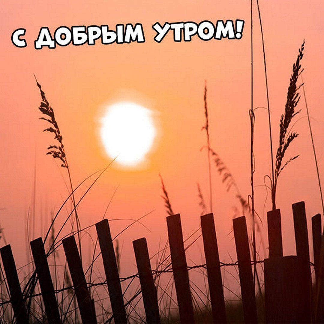 Открытка «С добрым утром»: С добрым утром! Теплый рассвет у моря. Тэги: хорошего дня, пожелание, позитивная, отличное…