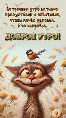 Открытка «С добрым утром»: Активное и позитивное утро с котом и птичкой!. Тэги: кот, животное, пожелание, позитивная…