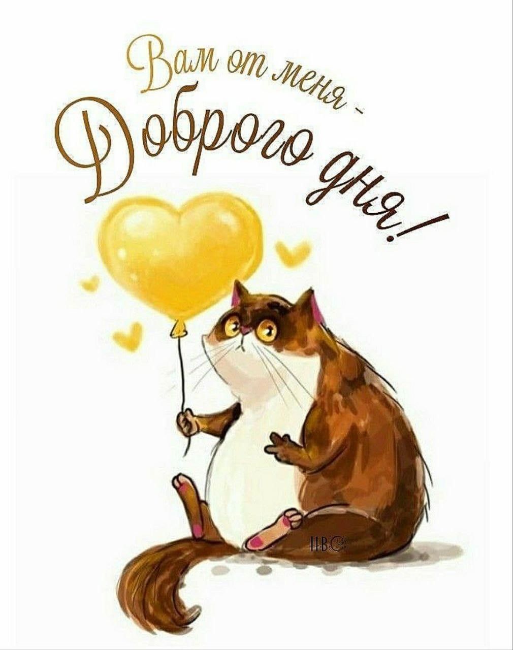 Открытка «С добрым утром»: Доброе утро и доброго дня от милого котика. Тэги: хорошего дня, кот, животное, пожелание…