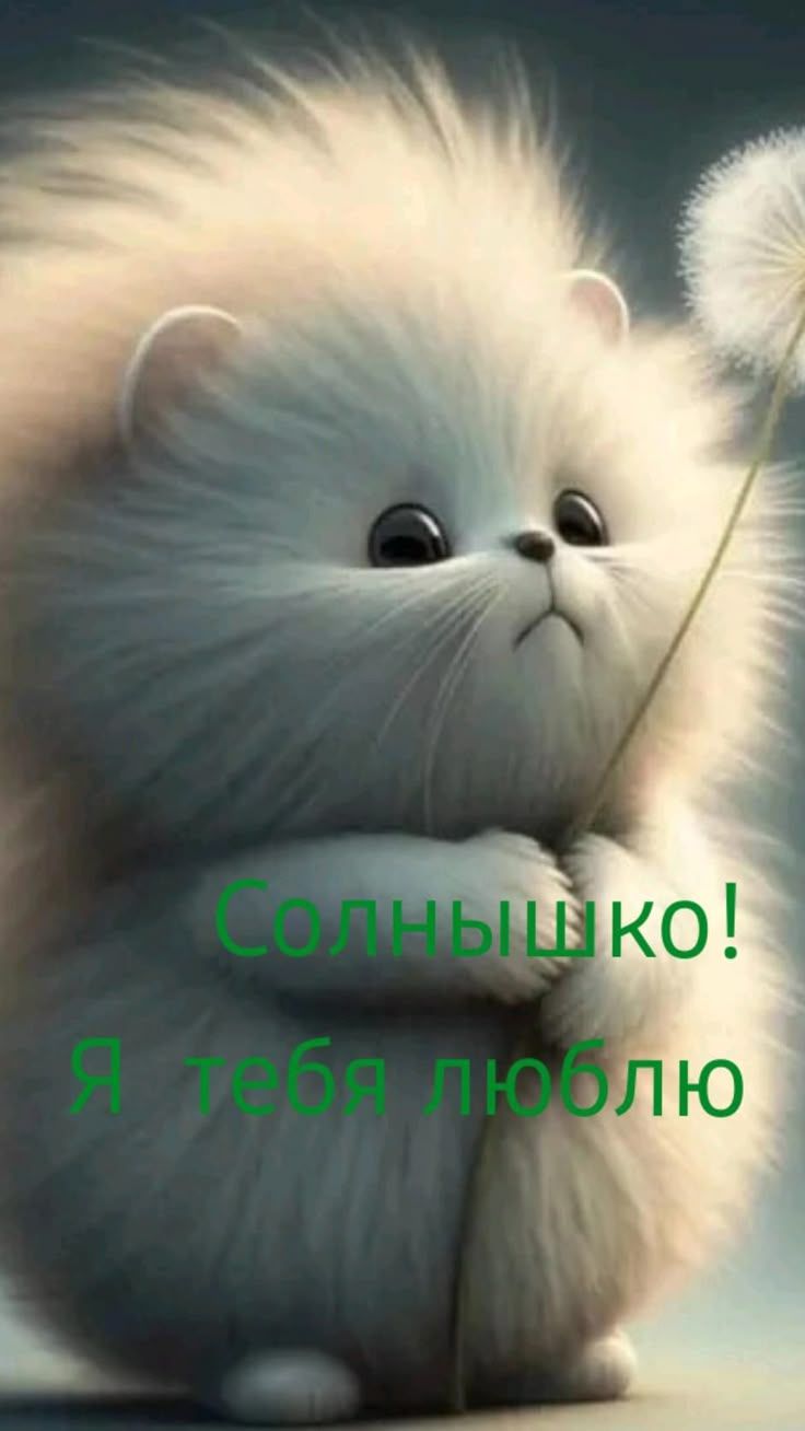 Открытка «С добрым утром»: С добрым утром, Солнышко, я тебя люблю!. Тэги: кот, животное, пожелание, позитивная…