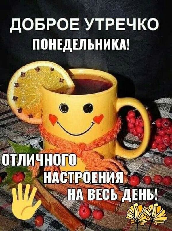 Открытка «С добрым утром»: С добрым утром понедельника! Отличного настроения на весь день!. Тэги: С добрым утром в по…