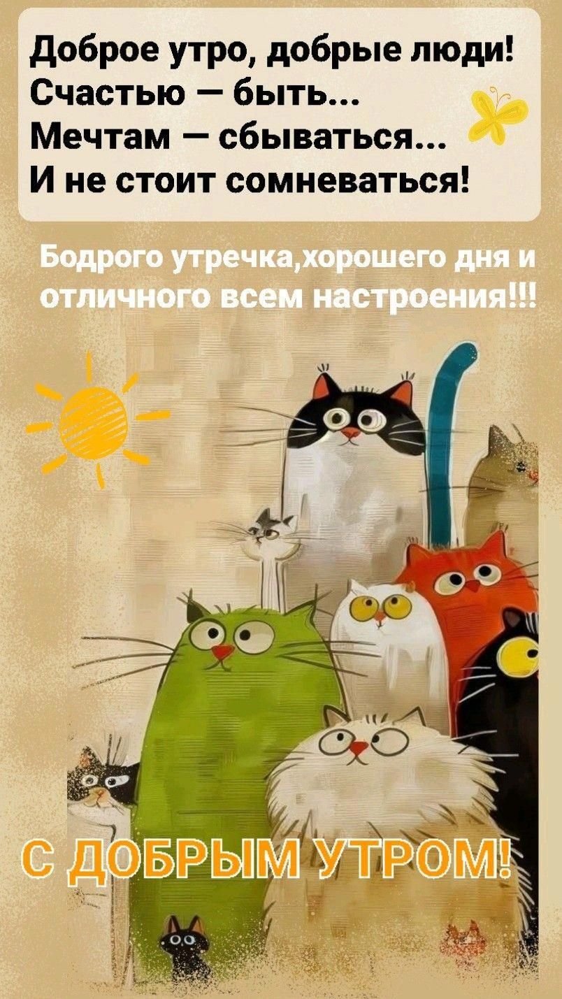Открытка «С добрым утром»: С добрым утром! Котики желают счастья и отличного дня!. Тэги: хорошего дня, кот, животное…