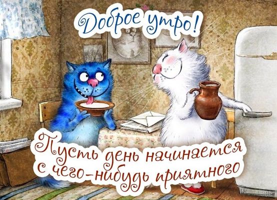 Открытка «С добрым утром»: Доброе утро! Пусть день начнется приятно. Тэги: кот, животное, пожелание, позитивная…
