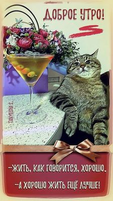 Открытка «С добрым утром»: Доброе утро: кот, цветы и рецепт счастливой жизни. Тэги: хорошего дня, кот, животное…