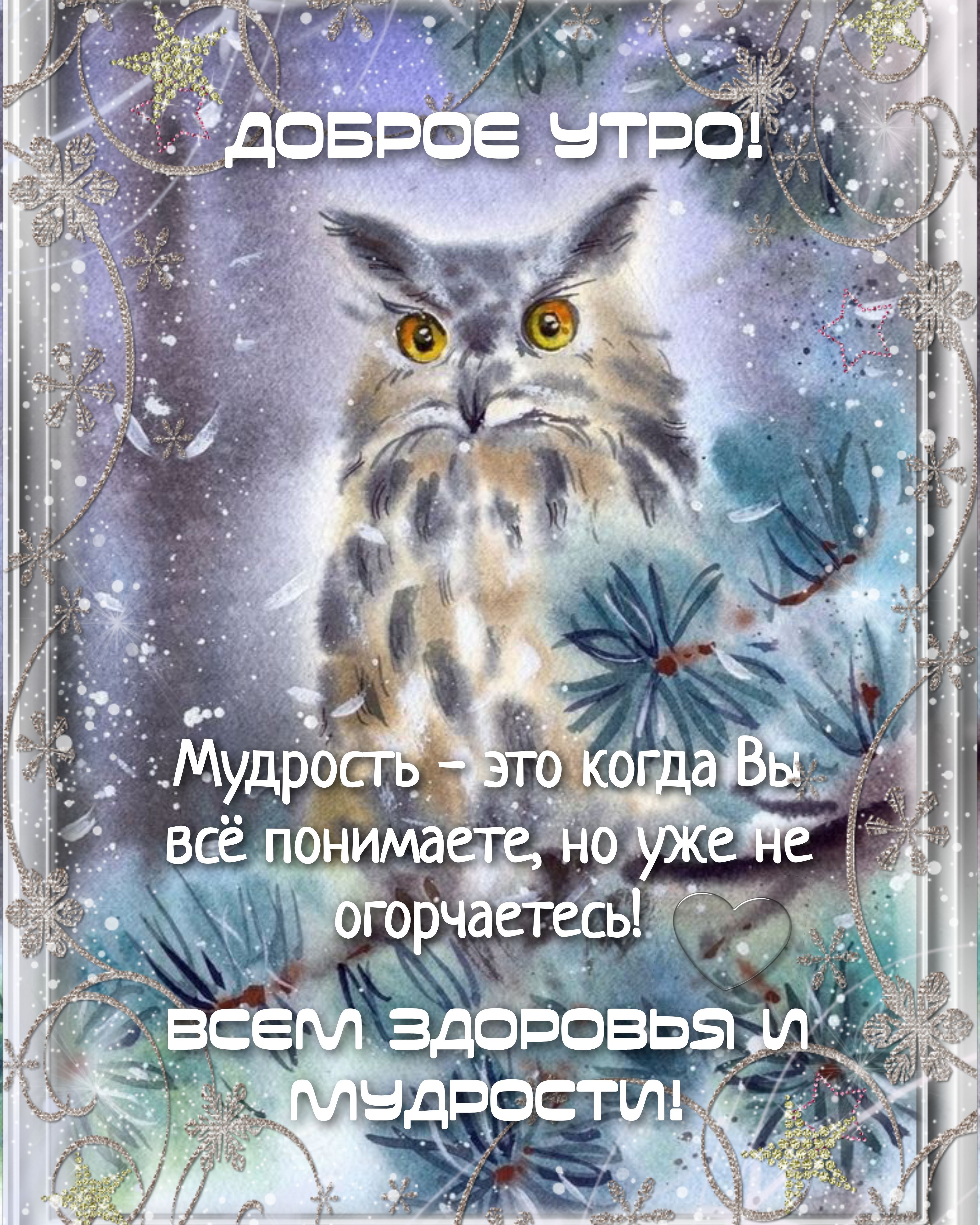 Открытка «С добрым утром»: Доброе утро: Зимняя сова и мудрые мысли. Тэги: животное, пожелание, позитивная, красивая…