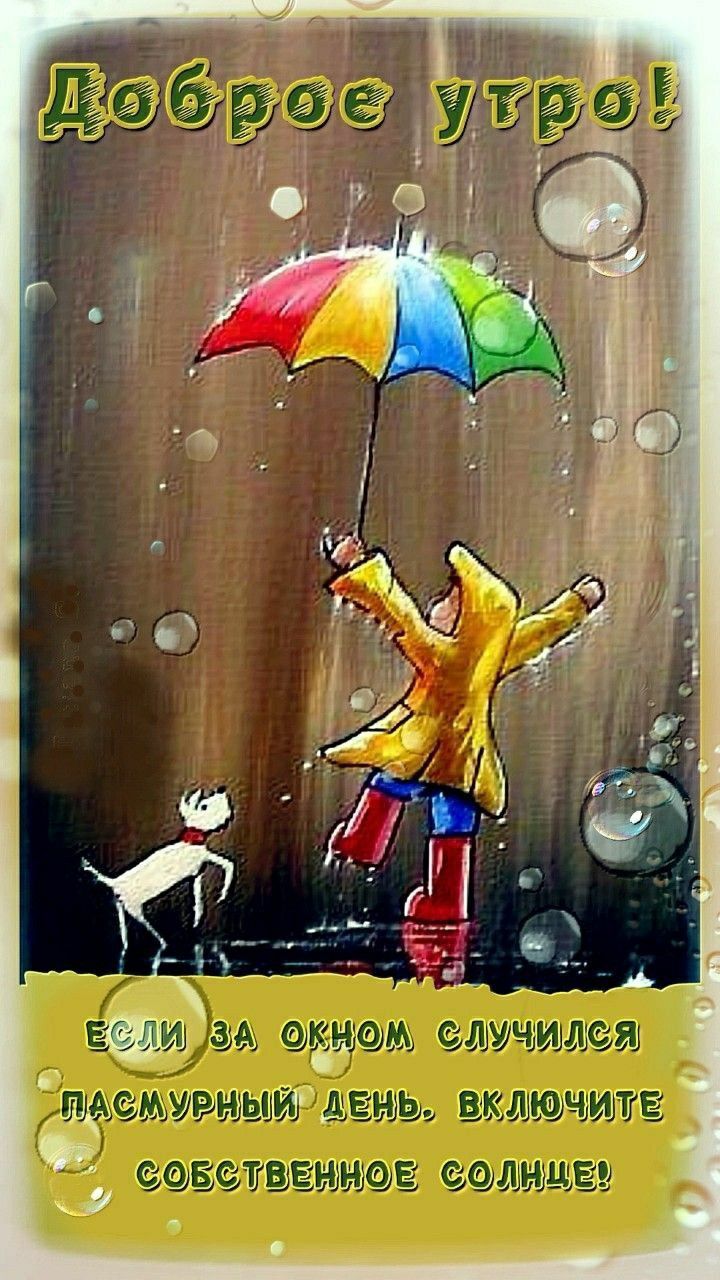 Открытка «С добрым утром»: Улыбка в дождь: Начни день с собственного солнца!. Тэги: животное, пожелание, позитивная…